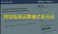 跨境电商运营模式多元化策略及全球市场实践与挑战探讨